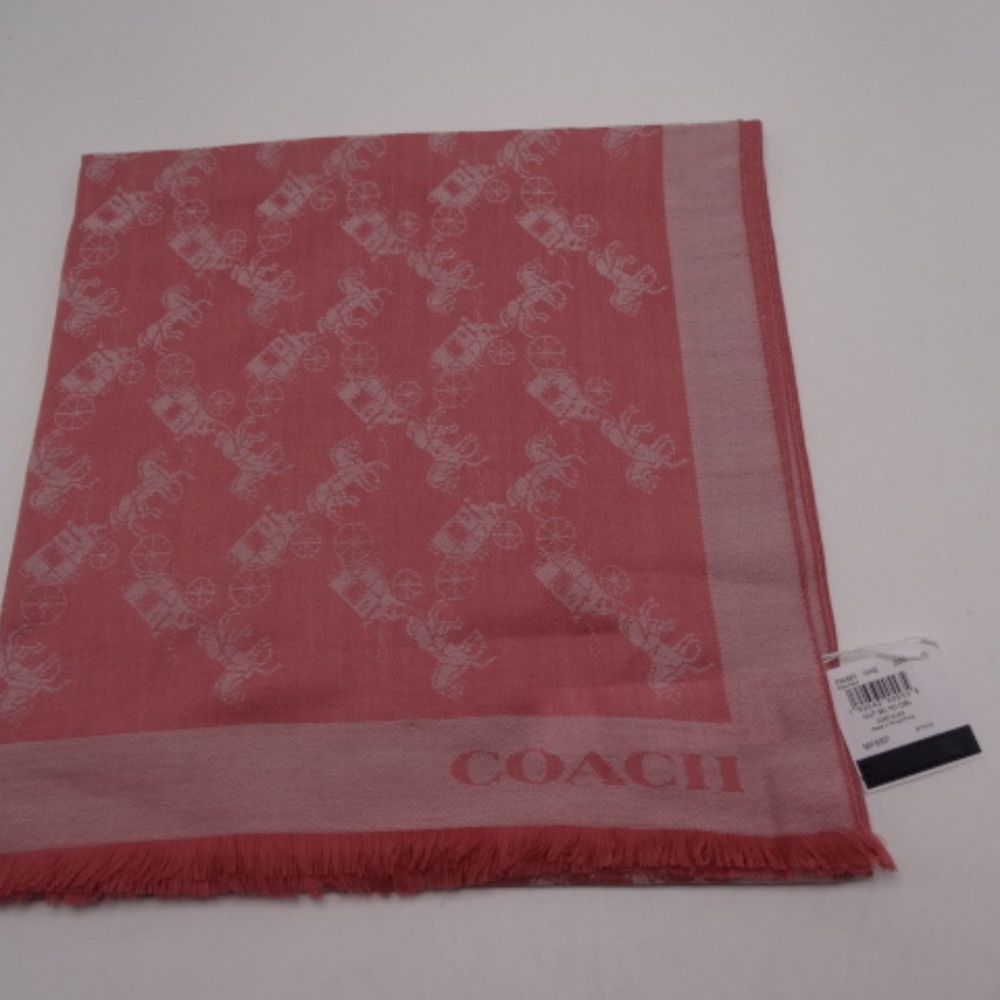 Coach F26587 100% Wool Horse And Carriage Scarf